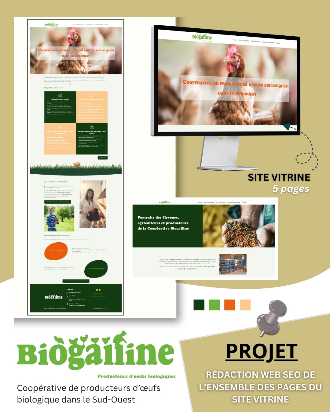 Aperçu des pages du site vitrine Biogalline, coopérative de producteurs d'œufs bio, avec des contenus optimisé.